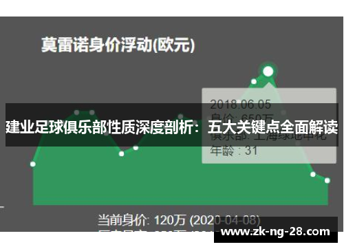 建业足球俱乐部性质深度剖析：五大关键点全面解读