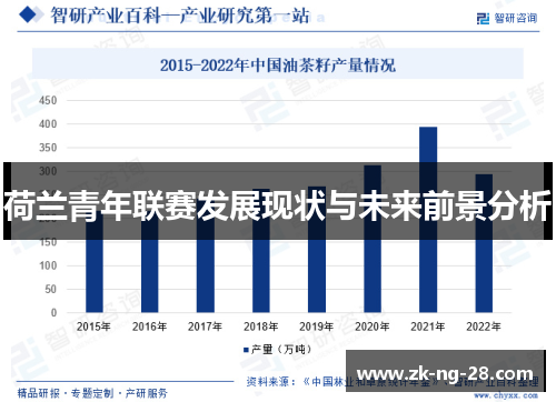 荷兰青年联赛发展现状与未来前景分析