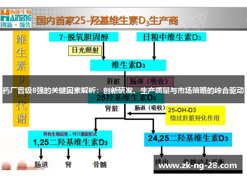药厂晋级8强的关键因素解析：创新研发、生产质量与市场策略的综合驱动